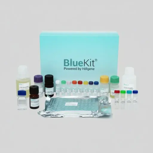 293T Cell Residual DNA Fragment Analysis
Detection Kit (qPCR)