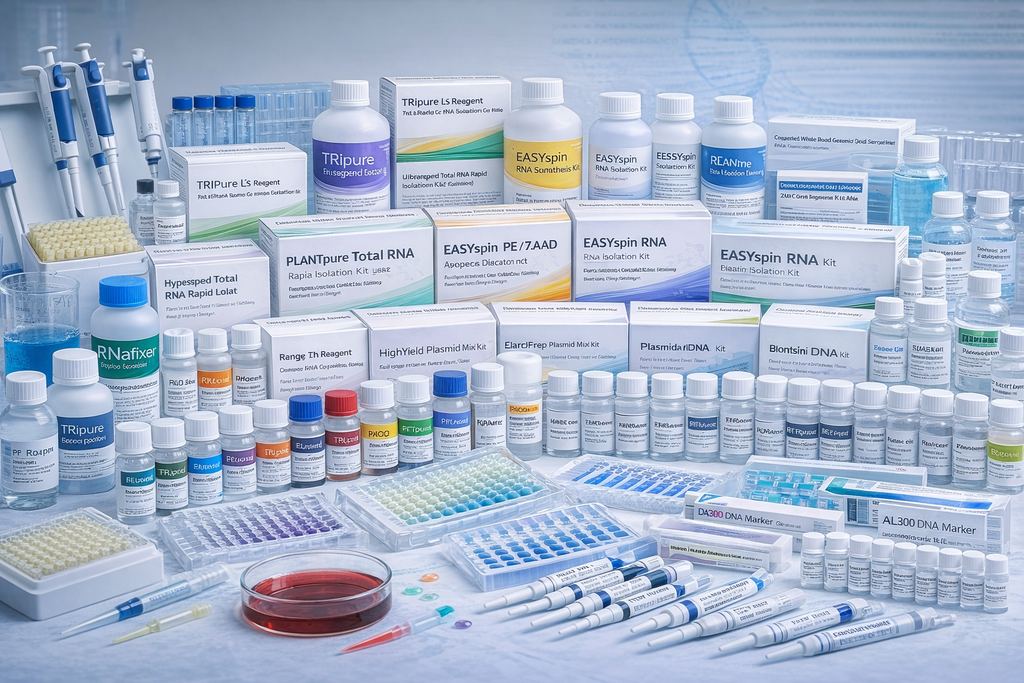 3 x Sybr Green qPCR Mix(With 100×ROX)