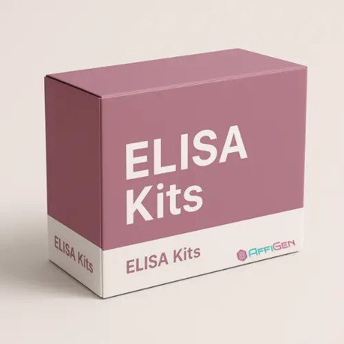 Mouse Angiotensin- 1, ANG- 1 ELISA Kit - 96tests