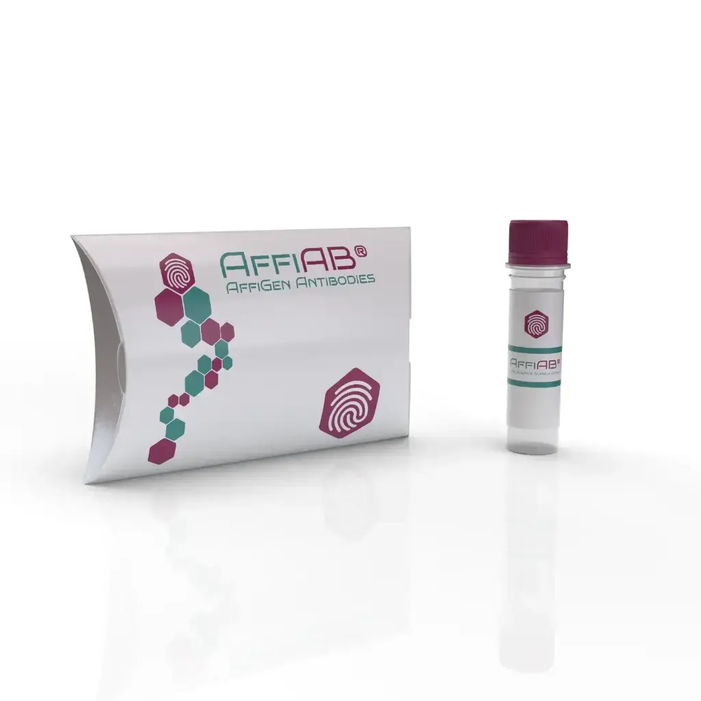 JIP3 Antibody - 100µg