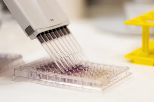 Armadillo plate, Red Frame, White Wells - 50 Plates ,  384-Well PCR Plate 40 μL