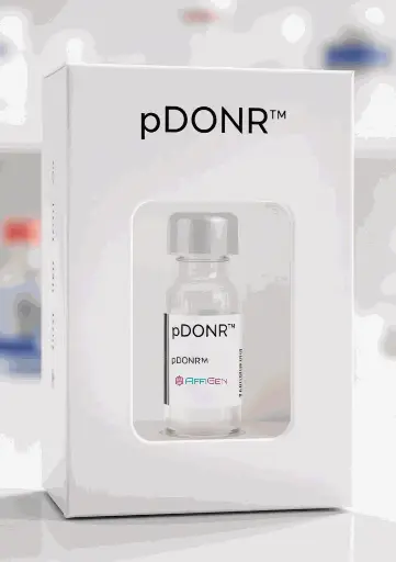 [PVT7139] pDonR233- bmp4 Plasmid - 2ug