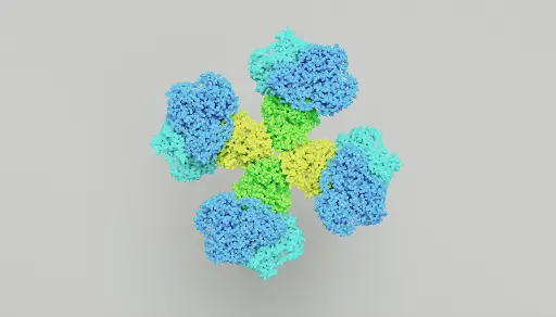 [ABD2588] CC2D1A Antibody - 100µg