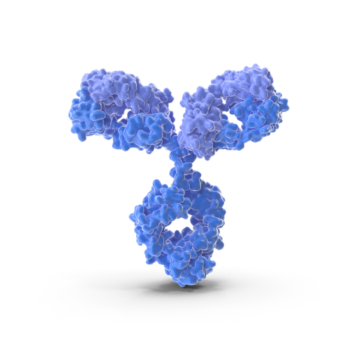 [ABF3014] Phospho- IKK-  alpha  (Ser176)  /IKK-  beta  (Ser177)  Antibody - 100µg